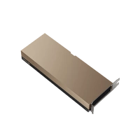 Grafische kaart PNY Nvidia Hopper 141GB GDDR7 | TCSH200NVLPCIE-PB