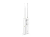 Toegangspunt TP-LINK EAP110-Outdoor 2.4 GHz 802.11 b/g/n