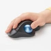 Draadloze muis Logitech Ergo M575 910-005872