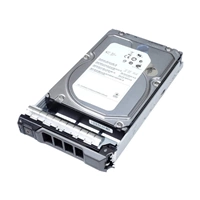 HDD-shijf HDD gewijd voor de server DELL 3.5'' 10000GB 7200RPM SAS 12Gb/s 400-ANVF