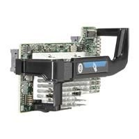 Netwerkkaarten HPE 700065-B21 PCI Express 20Gb