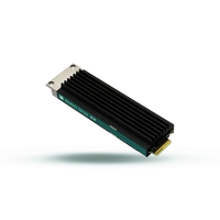 SSD-schijf Goodram DC10M 480GB E1.S NVMe PCIe 4.0 | GEDC10S100-480NS10B