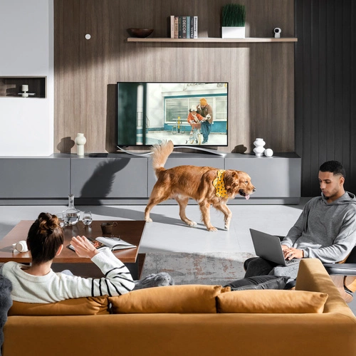 Slimme sensor Aqara Presence Sensor FP2 | PS-S02D