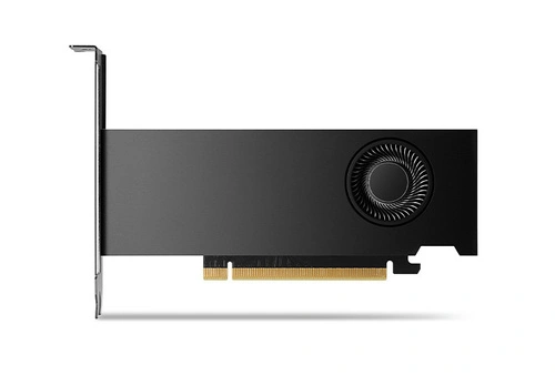Grafische kaart Nvidia RTX 2000 Ada 16GB GDDR6 | 900-5G192-2541-000