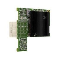 Netwerkkaarten DELL  1x Fibre Channel PCI Express 16Gb | 543-BBCW-RFB